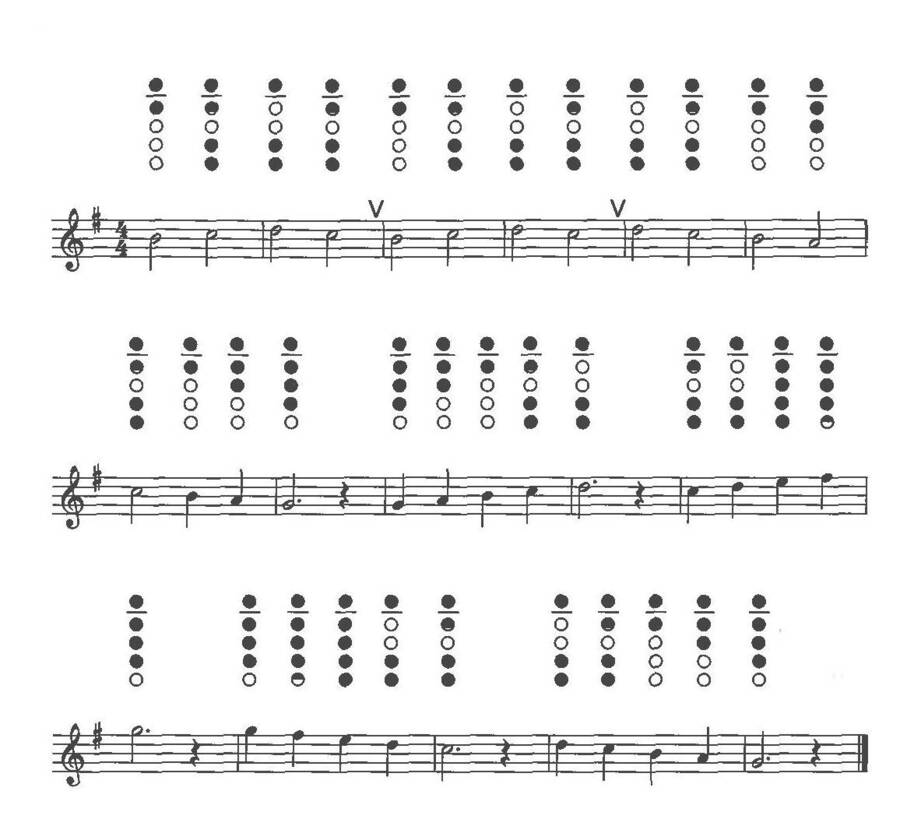 c_p1.jpg