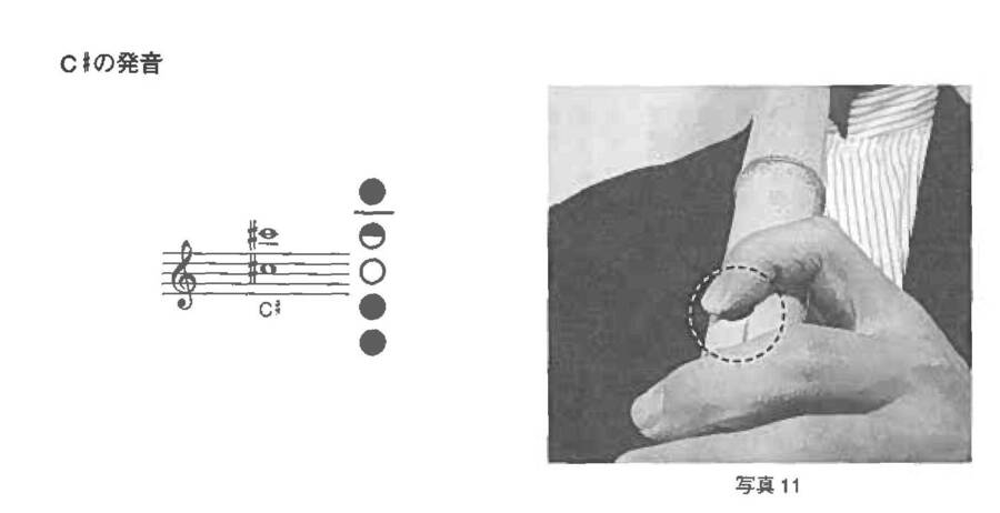 f11_p1.jpg