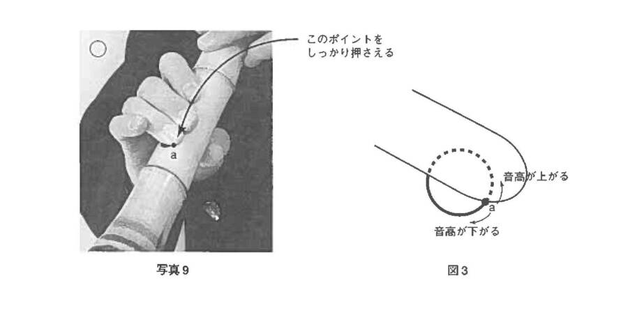 f9_p1.jpg