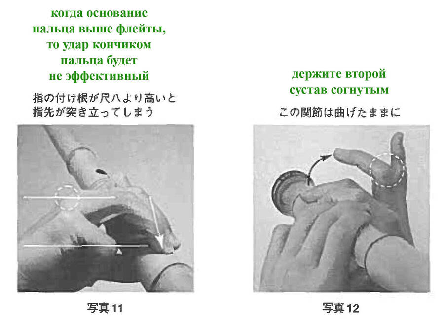 foto11-12_p2.jpg