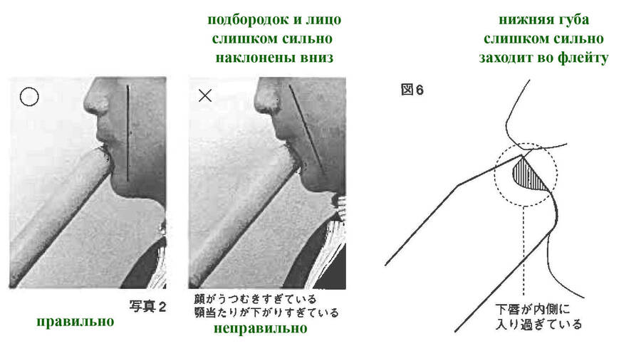 foto2-pic6_p3.jpg