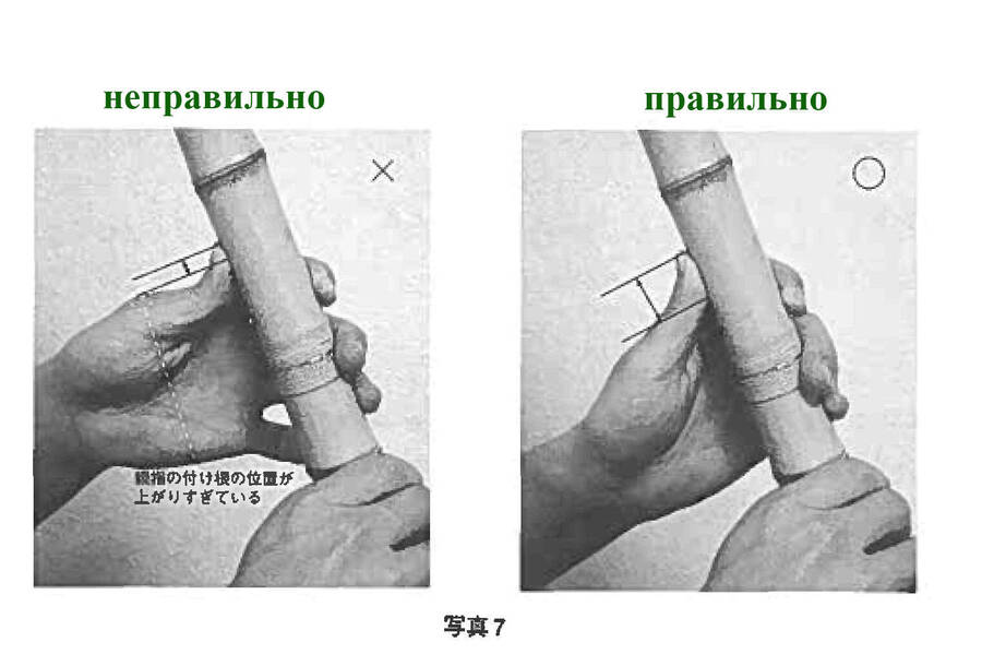 foto7_p3.jpg