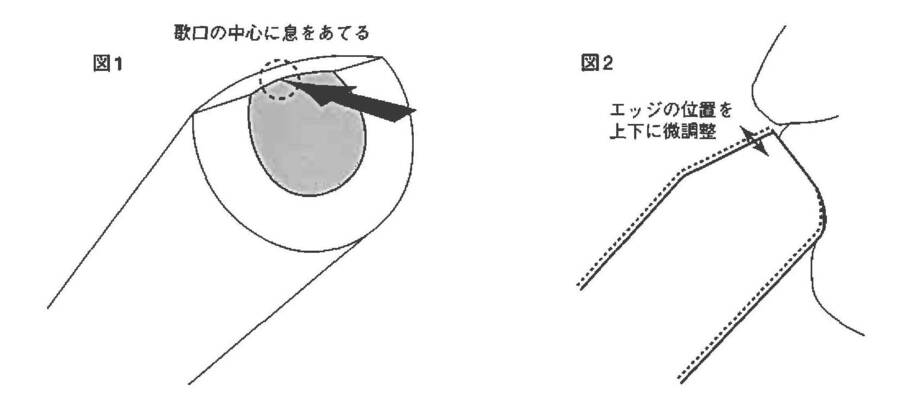 pic1-2.jpg