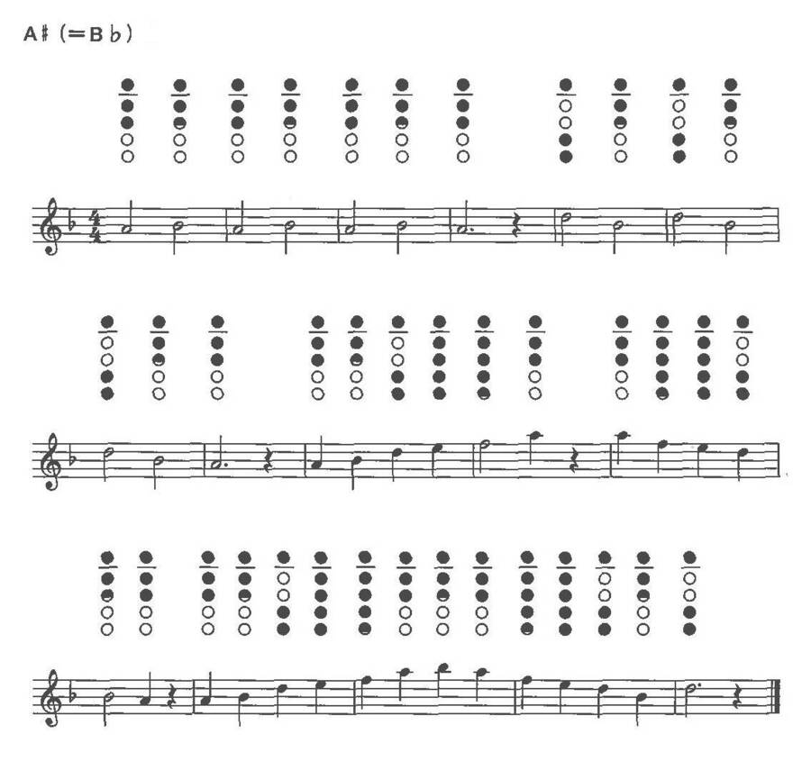 pra_p1.jpg