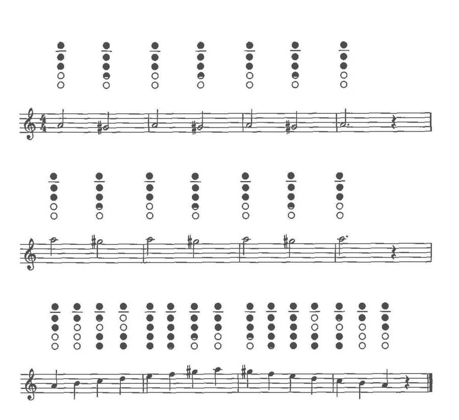 prg_p1.jpg