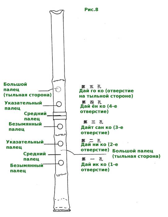 12.jpg