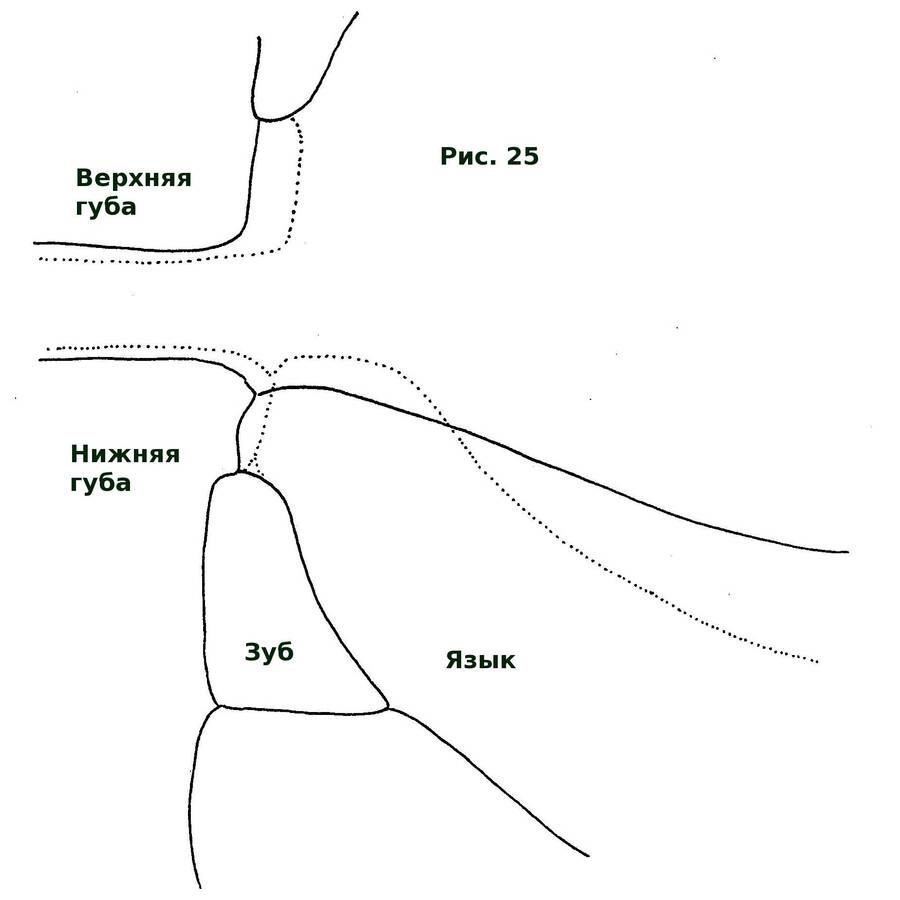 57.jpg