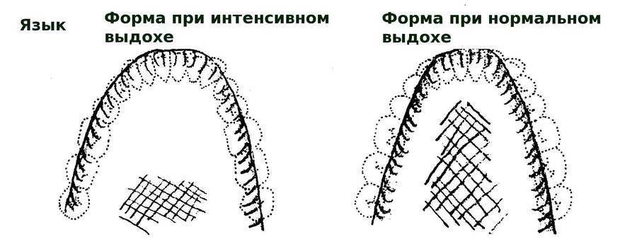 71.jpg