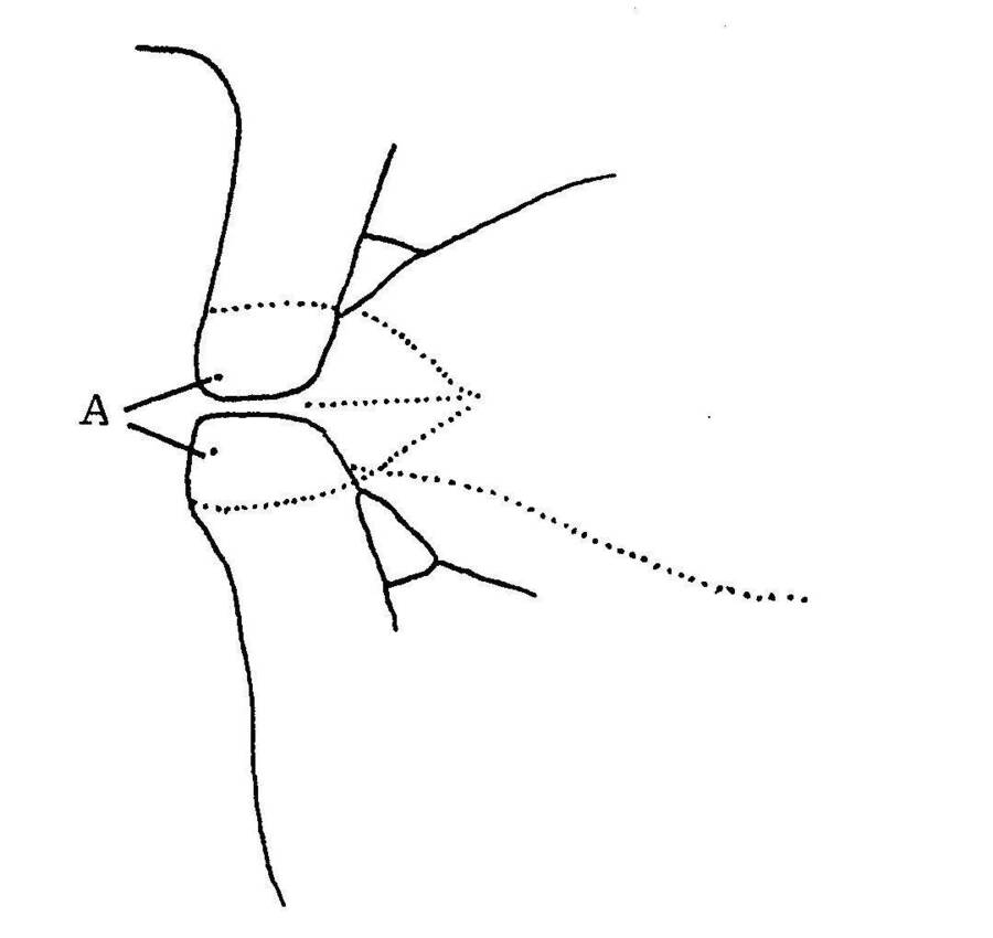 fig16.jpg