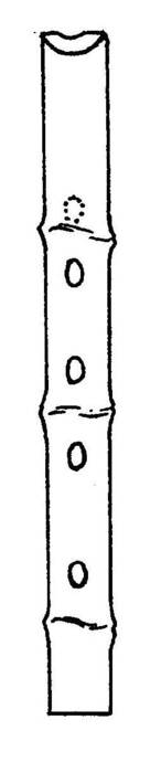tehmpuku.jpg