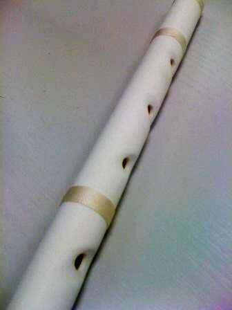 fleit_modif.jpg